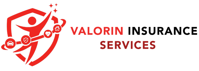 Valorin Insurance Logo